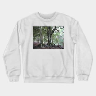 Back Forest Staffordshire. Peak District. Countryside Hiker landscape Crewneck Sweatshirt